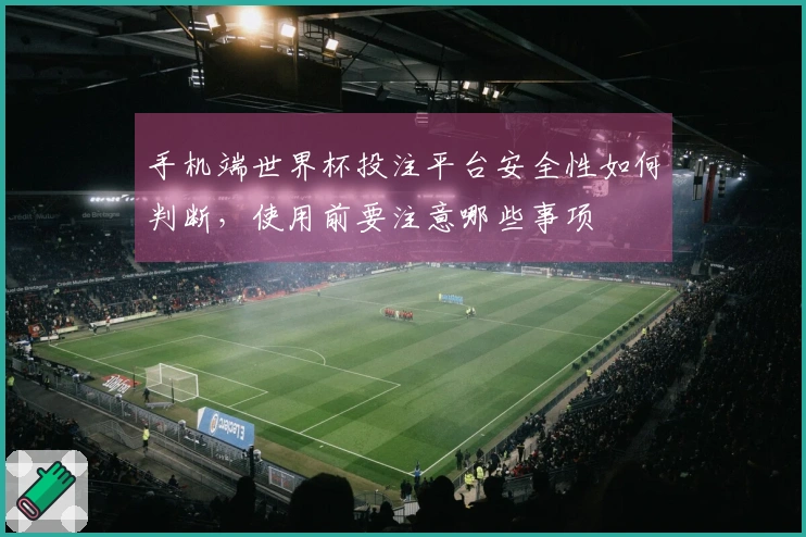 手机端世界杯投注平台安全性如何判断，使用前要注意哪些事项