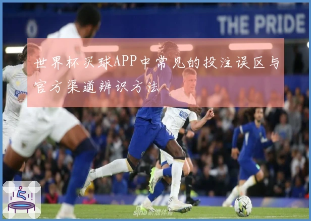 世界杯买球APP中常见的投注误区与官方渠道辨识方法