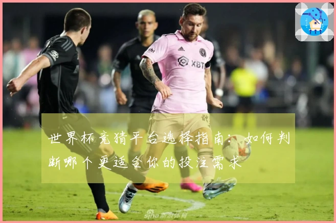 世界杯竞猜平台选择指南：如何判断哪个更适合你的投注需求