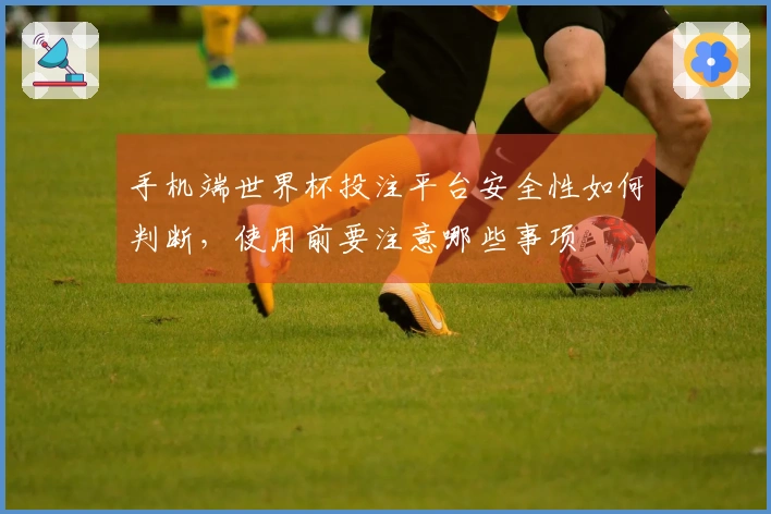 手机端世界杯投注平台安全性如何判断，使用前要注意哪些事项
