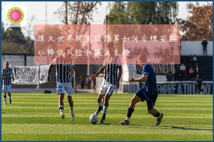 烽火世界杯竞猜预算如何合理安排以降低风险和提高乐趣