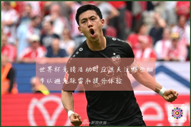 世界杯竞猜活动时应该关注哪些细节以避免踩雷和提升体验
